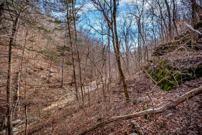 00 Bear Skin Dr, Home with 0 bedrooms, 0 bathrooms and null parking in Harriet AR | Image 50
