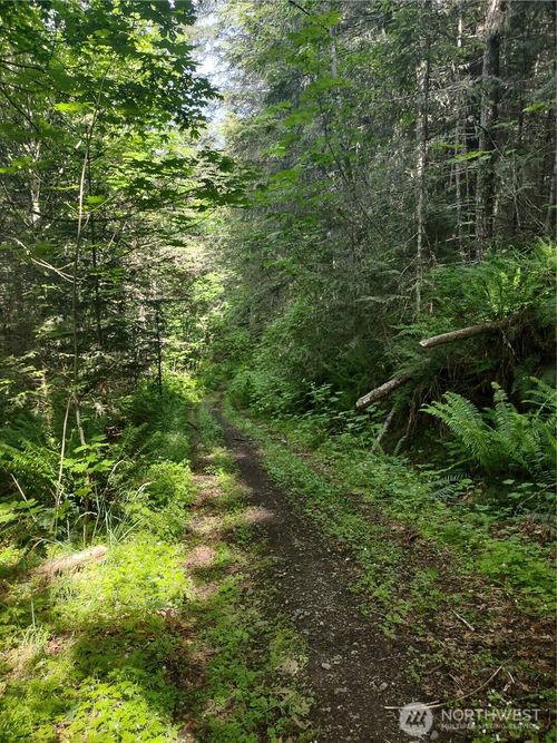 0 Hansen Rd, Port Angeles, WA, 98363 | Card Image