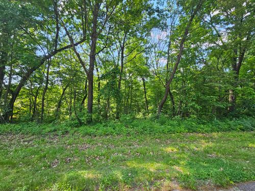 3 Haven Lane Lane, Galena, IL, 61036 | Card Image