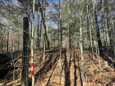 LOT-27-OLD-BLACK-BEAR-WOO - Lot 27 Black Bear Trail, Home with 0 bedrooms, 0 bathrooms and null parking in Davis WV | Image 2