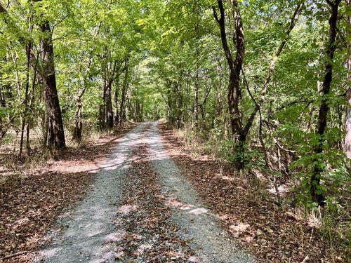 4 Mcburg Dellrose Rd, Dellrose, TN, 38453 | Card Image