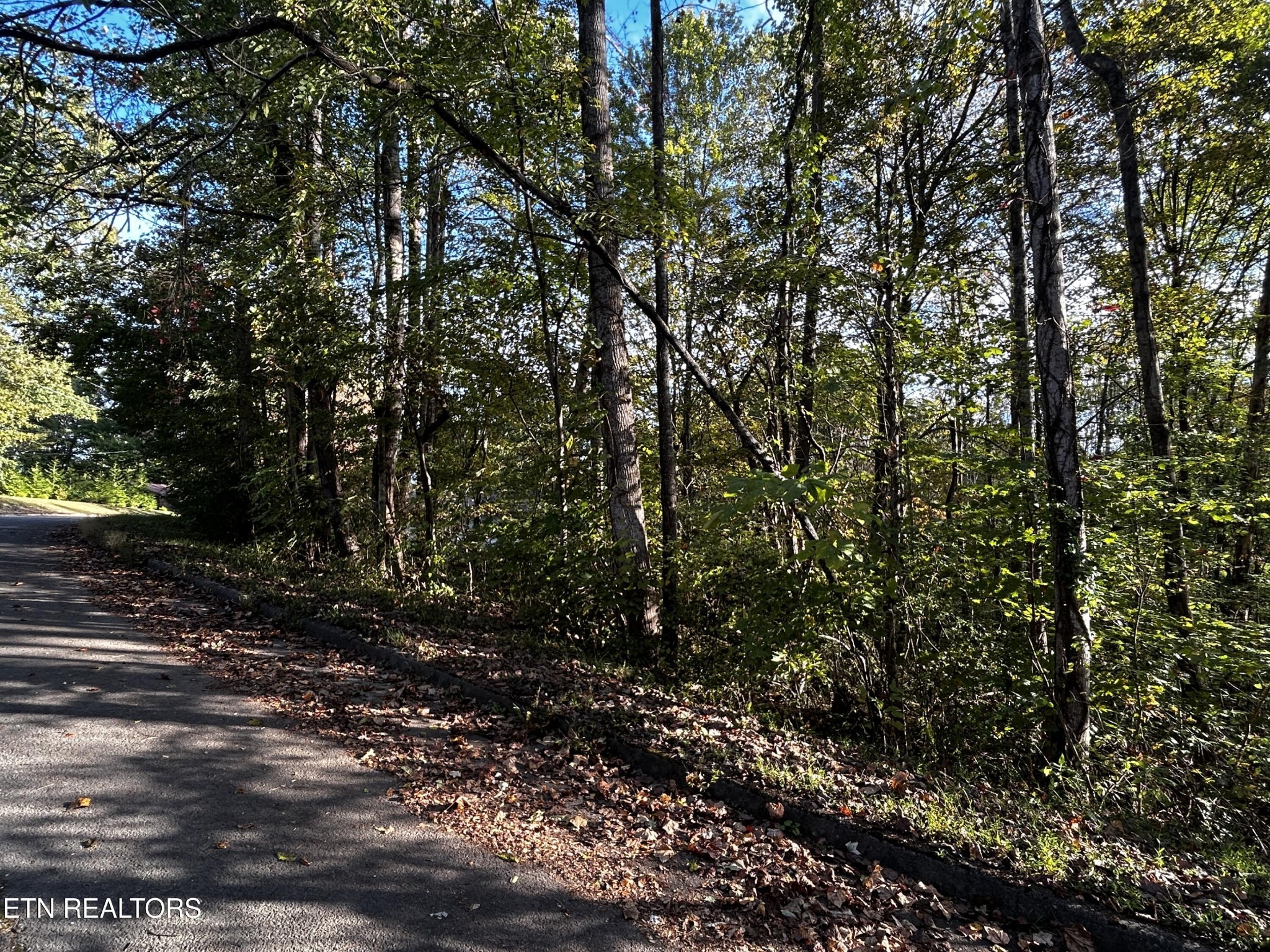 Land in Clinton 3