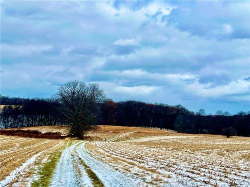 00 Laurel Rd, Shelocta, PA, 15774 | Card Image