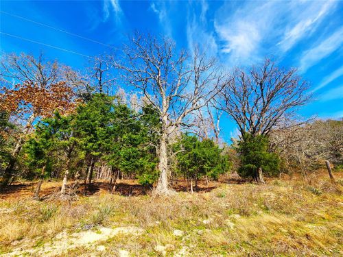 463 Us Highway 175 E, LaRue, TX, 75770 | Card Image