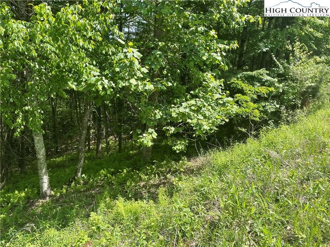 55 Meadow Crest Drive, Home with 0 bedrooms, 0 bathrooms and null parking in Jefferson NC | Image 5