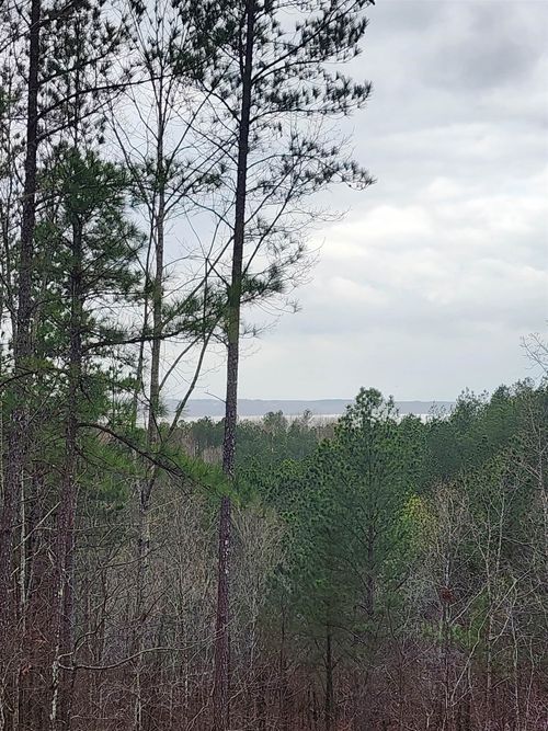 LOT #5 Eagle Point Dr, Cherokee, AL, 35616 | Card Image