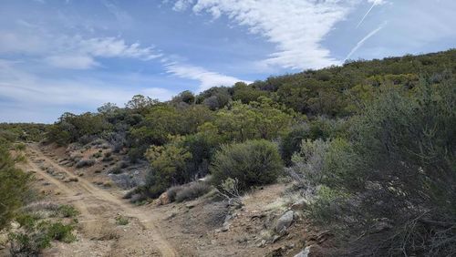 0 Palace Dr, Mountain Center, CA, 92561 | Card Image