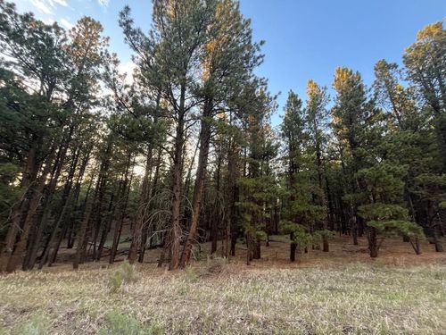 19 Valley Rd, Angel Fire, NM, 87710 | Card Image