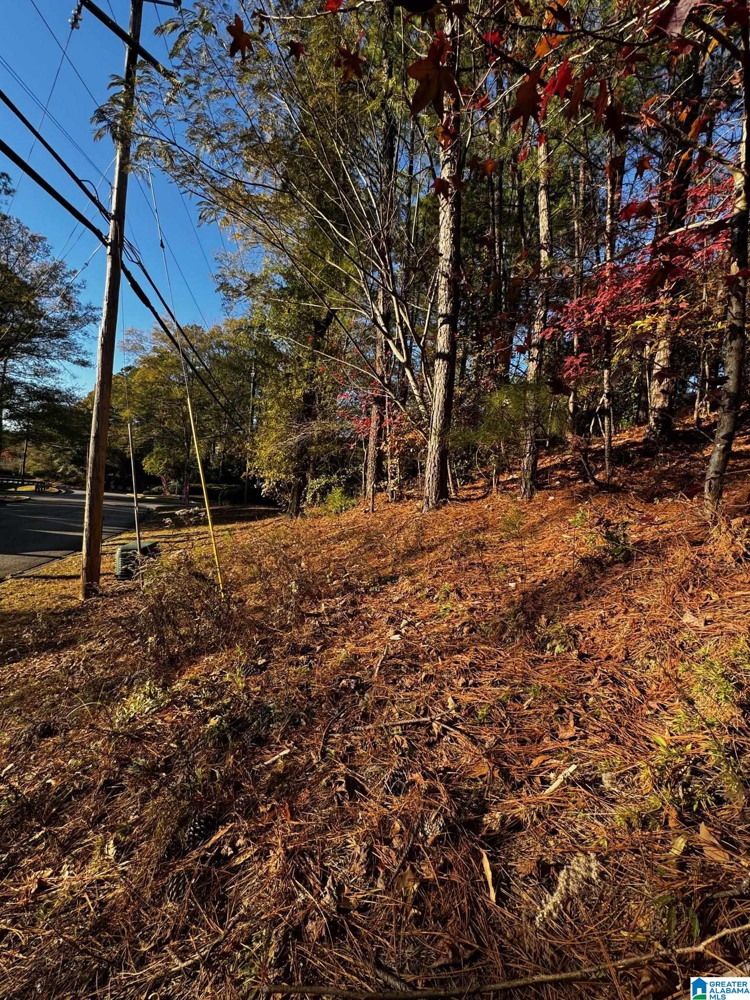 Land in VESTAVIA HILLS 3