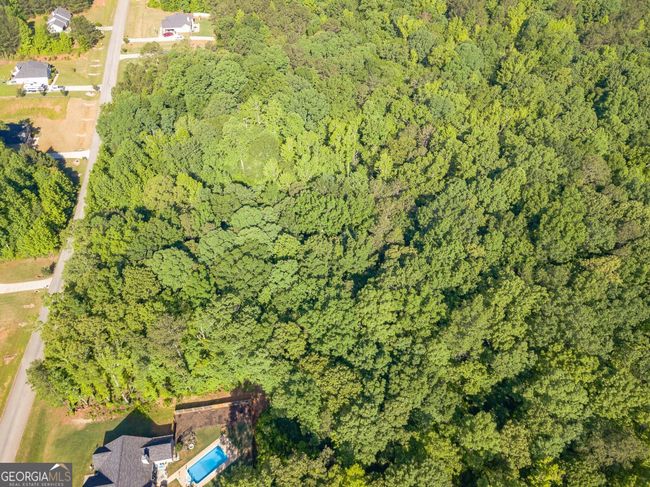 LOT-131 - 0 Hunter Welch Pkwy, Home with 0 bedrooms, 0 bathrooms and null parking in Luthersville GA | Image 13