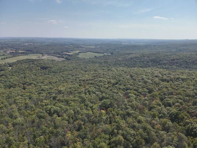 0 Forest Rd, Home with 0 bedrooms, 0 bathrooms and null parking in Boswell PA | Image 10