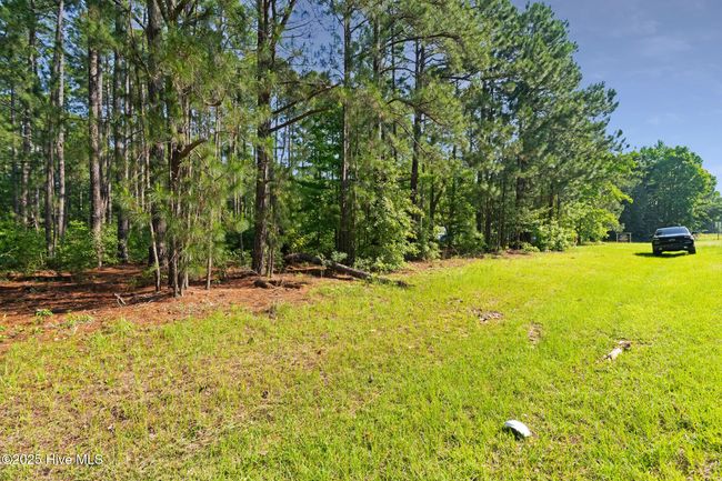 493 N Nc Highway 177, Home with 0 bedrooms, 0 bathrooms and null parking in Hamlet NC | Image 33
