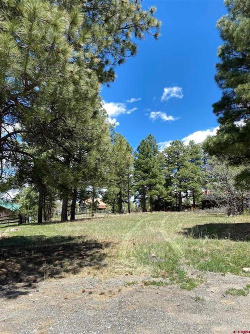 30 Fawn Ct, Pagosa Springs, CO, 81147-9405 | Card Image