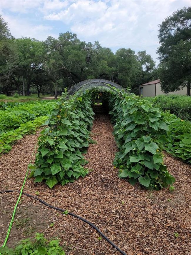 52 Sandy Creek Dr, House other with 0 bedrooms, 0 bathrooms and 6 parking in Van Vleck TX | Image 18