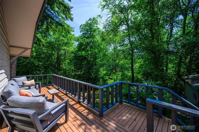 Views into the creek area | Image 30