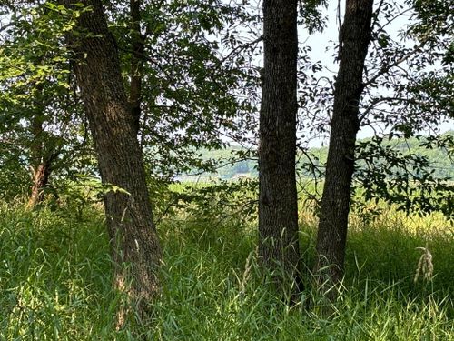 1250 Island Lake Resort Drive, Lengby, MN, 56651 | Card Image