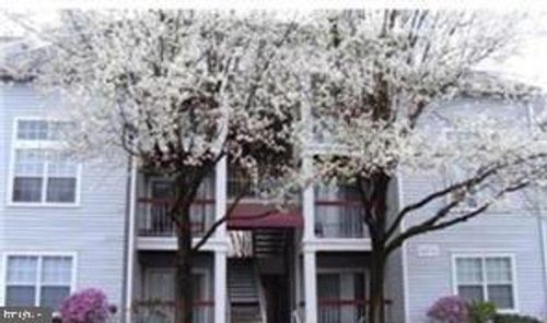 220-18535 Boysenberry Drive, GAITHERSBURG, MD, 20879 | Card Image