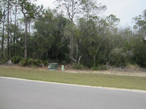 19 Elm St, Santa Rosa Beach, FL, 32459-6376 | Card Image