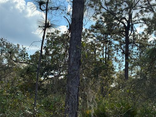 207 Plumosa Dr, Indian Lake Estates, FL, 33855 | Card Image