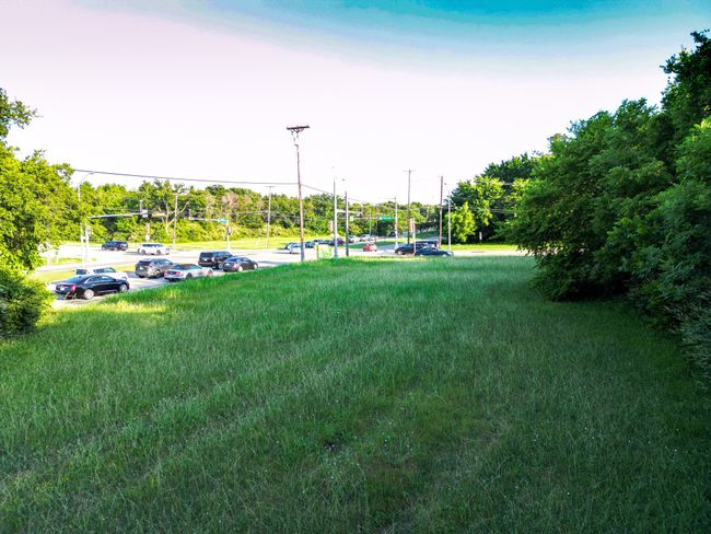 View of green lawn | Image 14