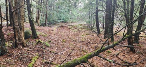 2051 Sheldon Woods Rd, Fairfield, VT, 05455-8407 | Card Image