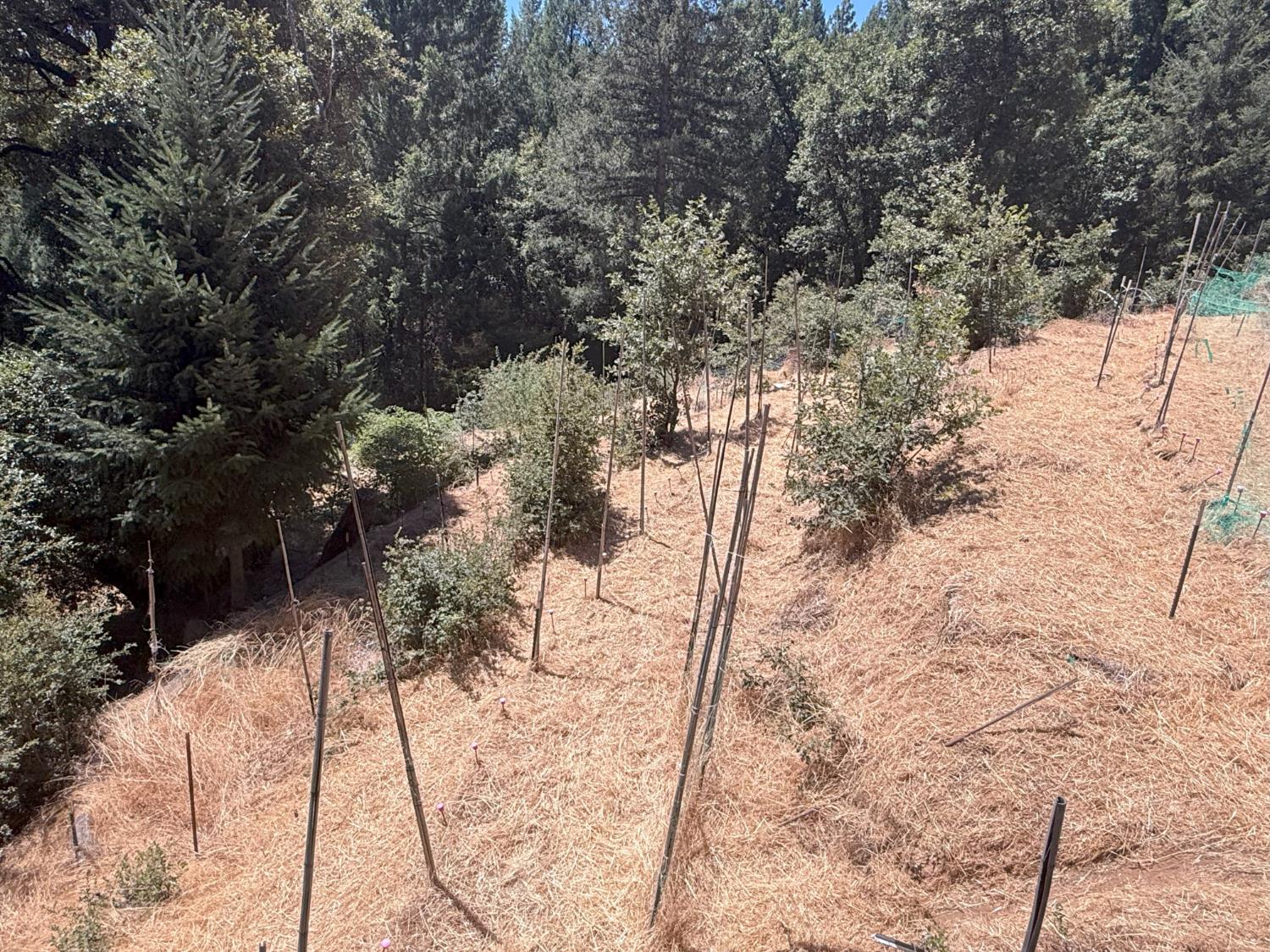 Land in Nevada City 4