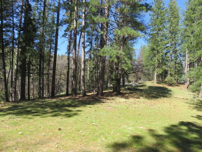 4196 Bald Mountain Rd, Home with 0 bedrooms, 0 bathrooms and null parking in West Point CA | Image 40