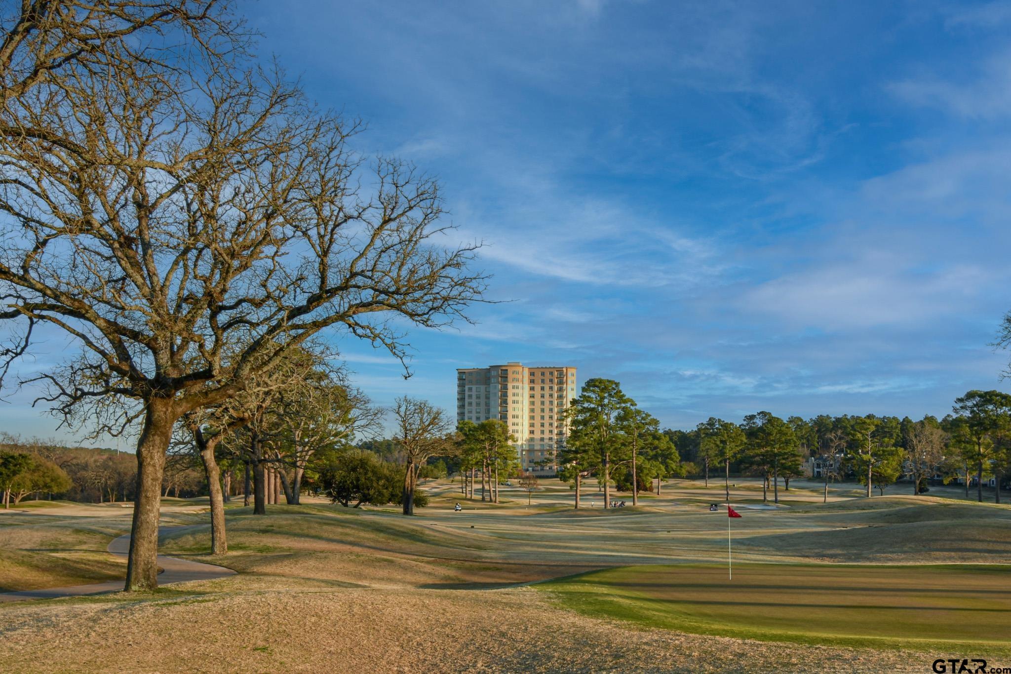 Residential in Tyler 2