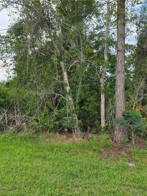 3227 Urmey Ave, Deltona, FL, 32738-1162 | Card Image