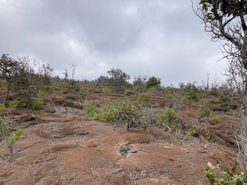 92-2620 Mahimahi Dr, OCEAN VIEW, HI, 96737 | Card Image