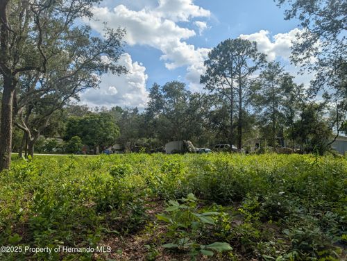 0 Merlin Cir, DADE CITY, FL, 33523 | Card Image