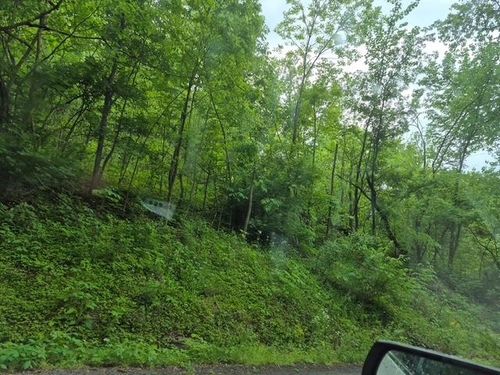 3171 State Route 2107, Central City, KY, 42330-5351 | Card Image