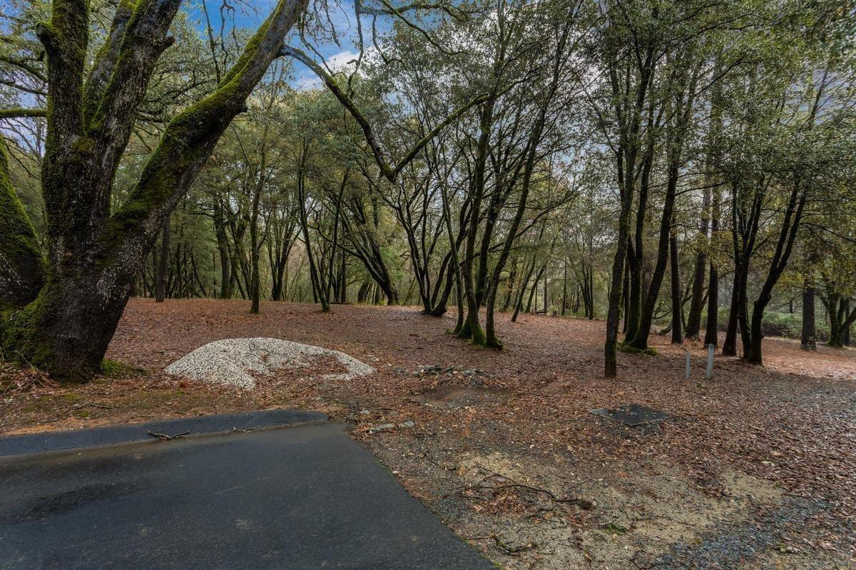 Land in Colfax 5