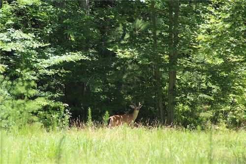 00000 Jumper Dr, Ellijay, GA, 30536 | Card Image