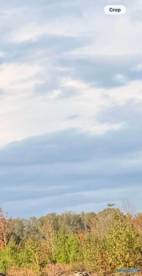 Lot 2 County Road 39, Piedmont, AL, 36272 | Card Image