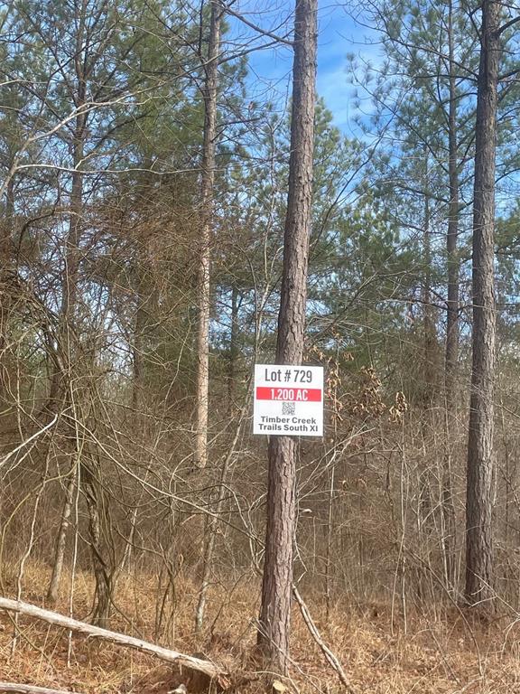 Land in Broken Bow 2