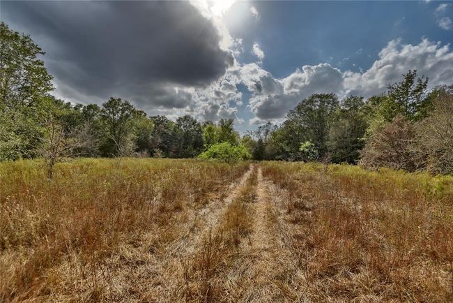 00 - 4233 Opersteny Rd, Home with 0 bedrooms, 0 bathrooms and null parking in Bryan TX | Image 15