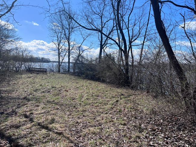 view of yard | Image 7