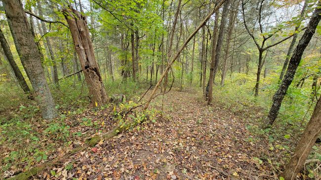 10081 Sullivan Rd, Home with 0 bedrooms, 0 bathrooms and null parking in Vevay IN | Image 45
