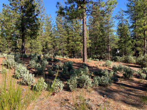 530 Lost Hill Ct, Nevada City, CA, 95959-2152 | Card Image