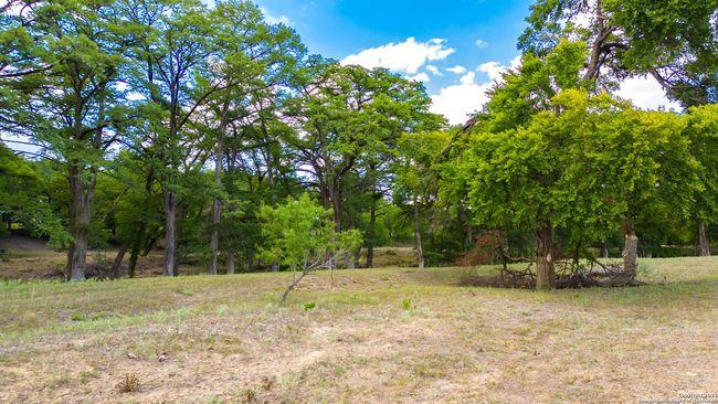 TRACT 5 46 Fm 1621, Home with 0 bedrooms, 0 bathrooms and null parking in Comfort TX | Image 17