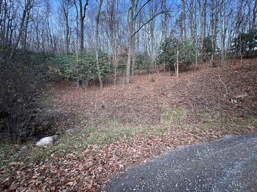 Lot 65 Cove Creek Road, Tazewell, VA, 24651 | Card Image