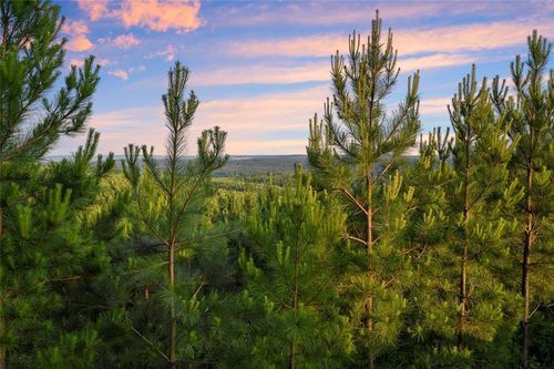 335 Monterey Oak Trail, Broken Bow, OK, 74728 | Card Image