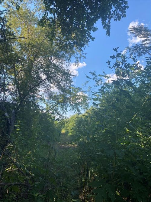 LOT 39 Harris St, Sulphur Springs, TX, 75482 | Card Image