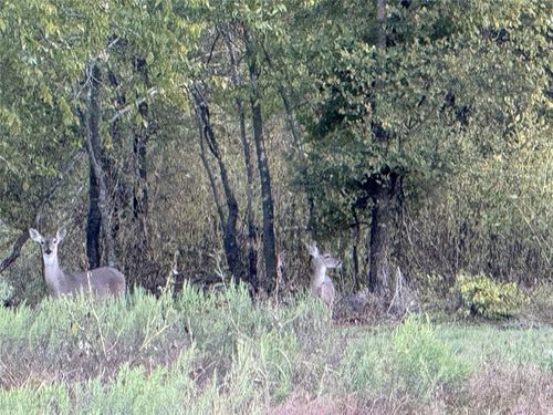 915 Old Stephenville Hwy, Hico, TX, 76457-6079 | Card Image