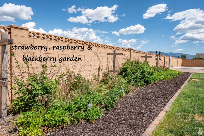 Fenced backyard featuring a vegetable garden | Image 95