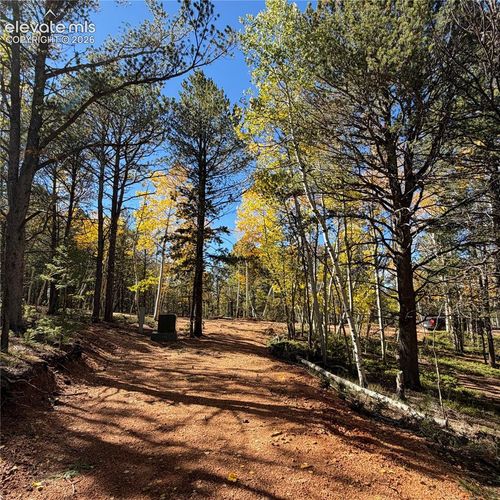 800 Timber Ridge Road, Divide, CO, 80814 | Card Image