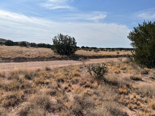 Lot 3904 Blk 1 Valle De Manana, Socorro, NM, 87801 | Card Image