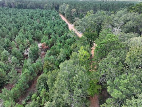 01 Bracewell Cemetery Rd, Livingston, TX, 77351 | Card Image