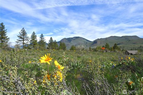 0 TBD Green Meadow Dr, Winthrop, WA, 98862 | Card Image